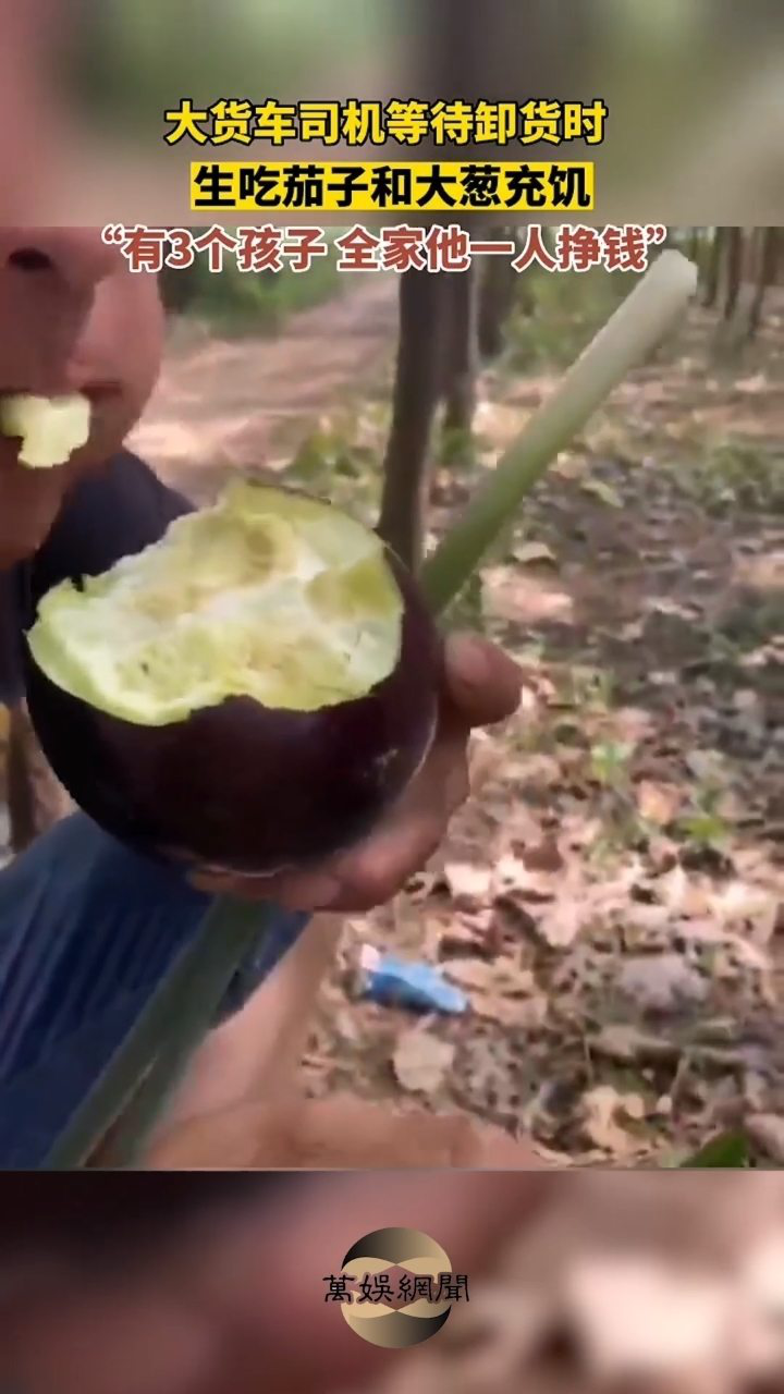 28日茄子大挑战与种植管理技能进阶指南