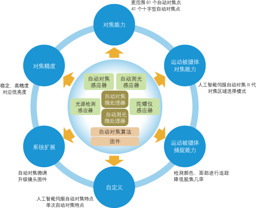 橘虞初梦 第159页