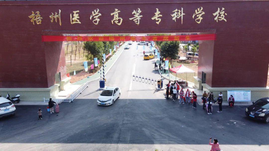 花开无言 第147页