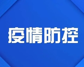 逆风翱翔，疫情防控新阶段下的励志篇章（11月4日最新更新）