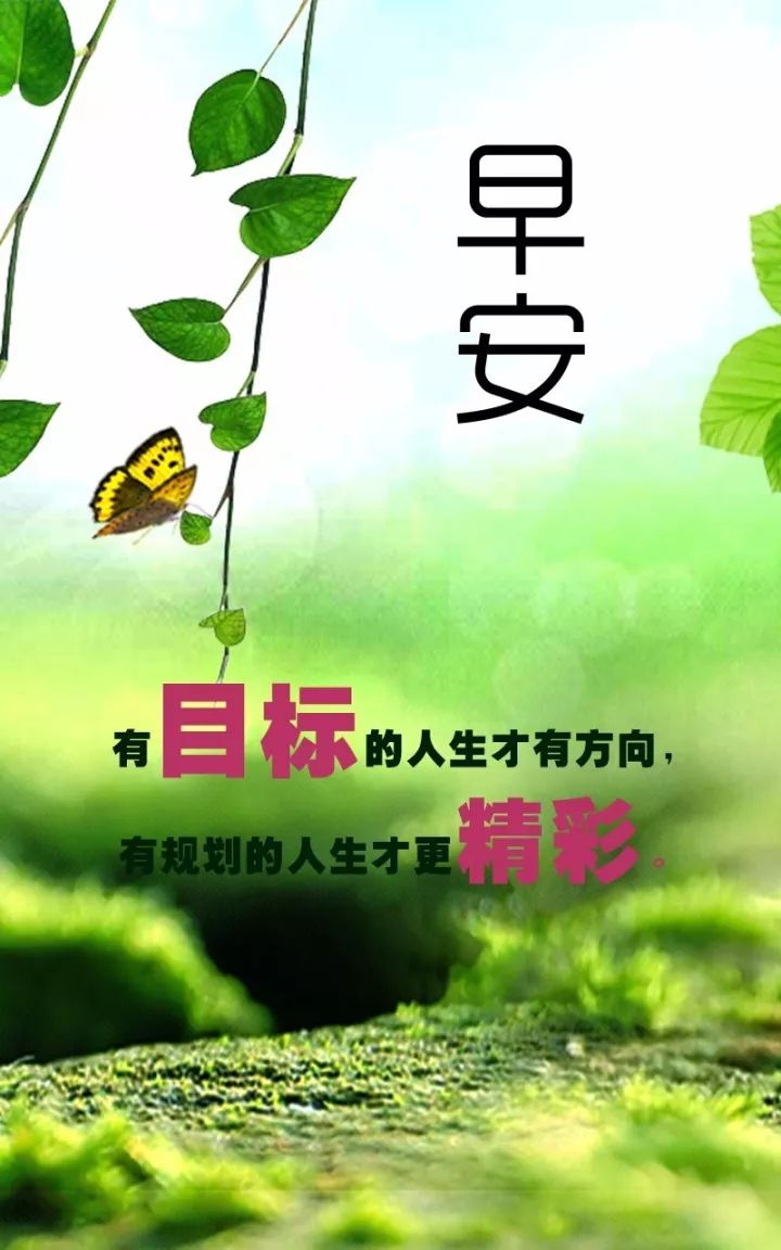 星星打烊 第150页