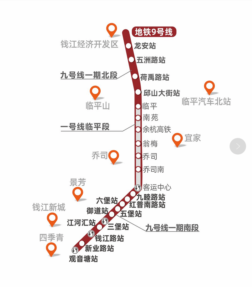 11月6日猪价行情详解，市场走势与初学者指南