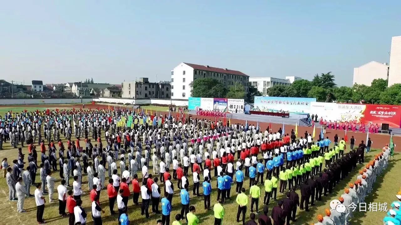 4949澳门免费资料大全特色,行业解答解释落实_桌面版43.975