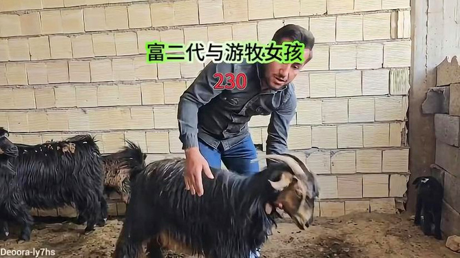 admin 第129页