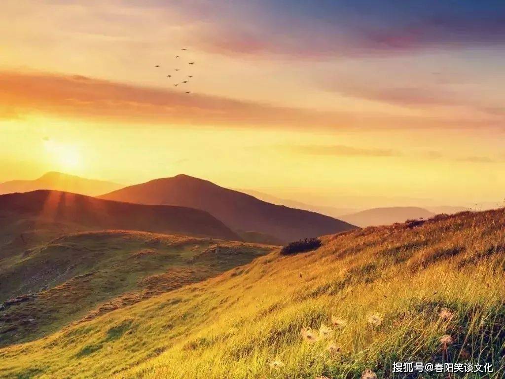 今晚一定出准确生肖特马图片,细致解答解释落实_桌面款59.359