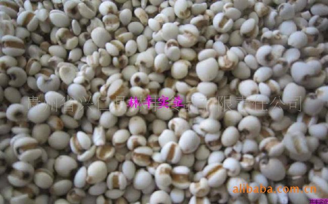 贵州兴仁薏米行情深度解析，最新价格与市场动态（11月8日）