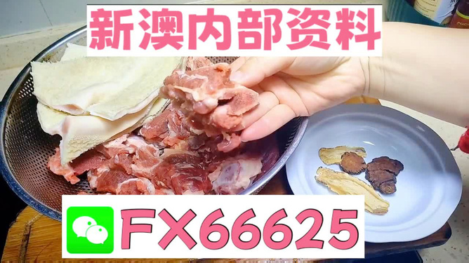 新澳资彩长期免费资料,素材动态方案解答_神话版NLE739.95