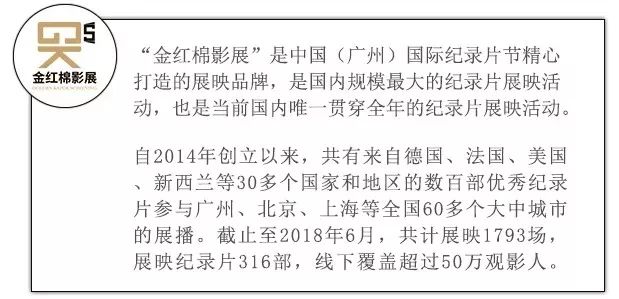 历史上的11月10日，张东徐婉晴故事全文最新免费阅读