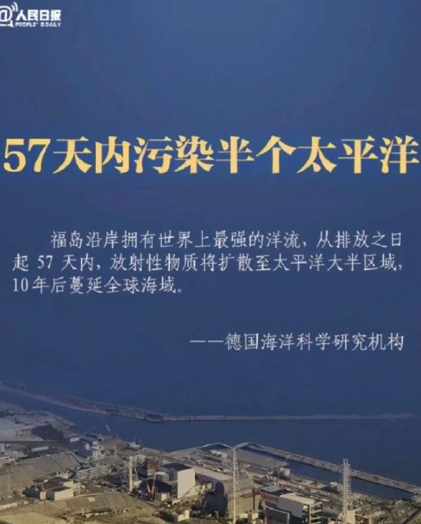 初告白 第97页