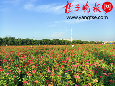 梁平兰桂香都全新蜕变揭秘！