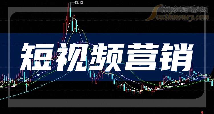 小只的日常趣事，2024年11月10日的温馨时光