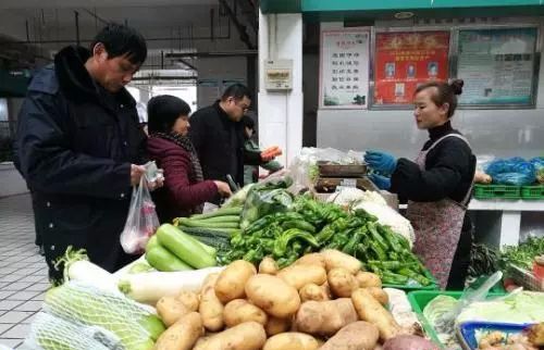 莱西蔬菜批发最新价格概览，市场回响与时代变迁同步前行