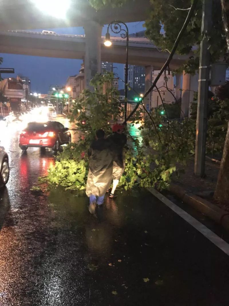 橘虞初梦 第63页