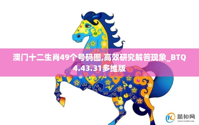 澳门十二生肖49个号码图,高效研究解答现象_BTQ4.43.31多维版