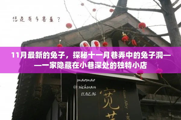 探秘十一月巷弄深处的独特兔子洞小店