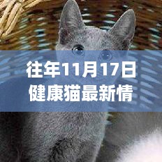 关注健康猫，历年11月17日最新动态与健康资讯回顾