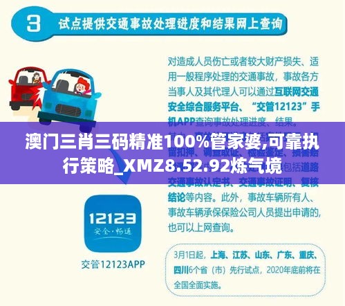澳门三肖三码精准100%管家婆,可靠执行策略_XMZ8.52.92炼气境