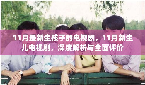 11月新生儿电视剧，深度解析与全面评价
