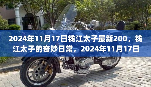 钱江太子奇妙日常，2024年11月17日的特别时光与最新进展