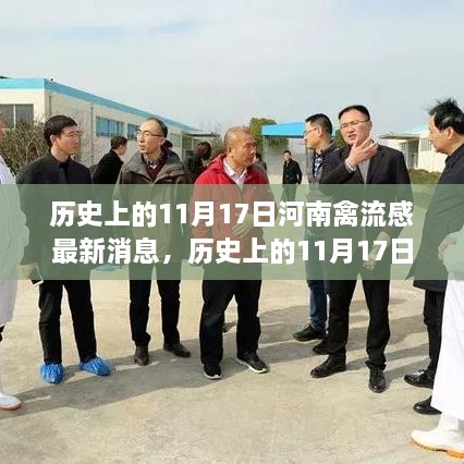 历史上的11月17日河南禽流感最新消息，自然美景治愈之旅的探寻时刻