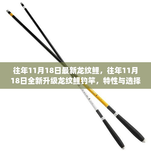 往年11月18日全新升级龙纹鲤钓竿，特性与选择优势解析