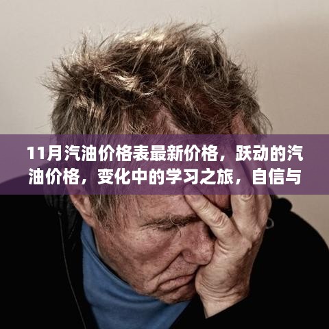 11月汽油价格最新动态，跃动变化中的学习之旅，成就感的源泉