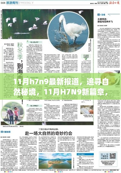 花开无言 第54页