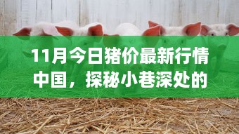 admin 第57页