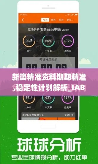 新澳精准资料期期精准,稳定性计划解析_IAB2.46.43原型版