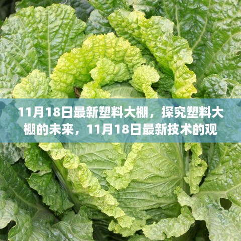 云烟 第56页