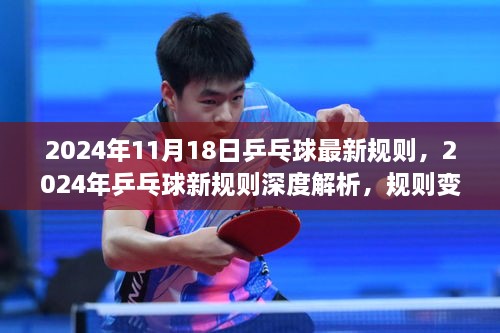 2024年乒乓球新规则深度解析，变革带来的运动新体验