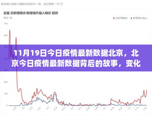 北京疫情最新数据揭秘，力量与学习的魅力背后的故事（11月19日）