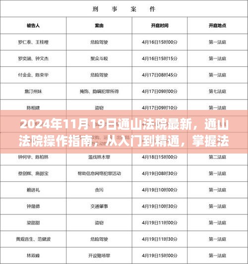 通山法院操作指南，从入门到精通，掌握法律事务处理流程（最新升级版，2024年）