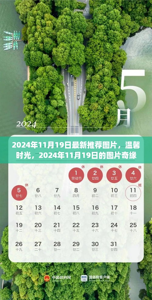 温馨时光，最新推荐图片奇缘，2024年11月19日精选