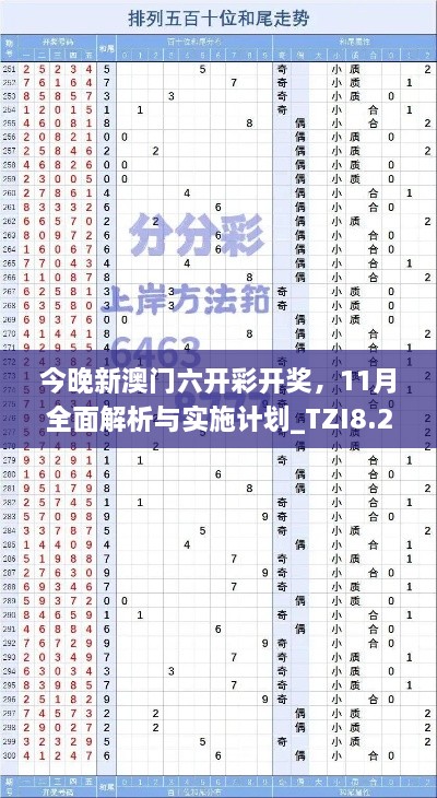 今晚新澳门六开彩开奖，11月全面解析与实施计划_TZI8.22.65全球版