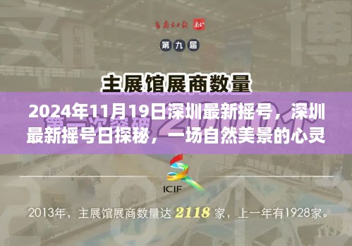 深圳最新摇号日探秘，自然美景的心灵之旅之旅