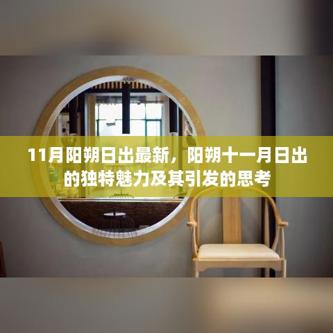 花开无言 第46页