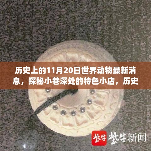 花开无言 第45页