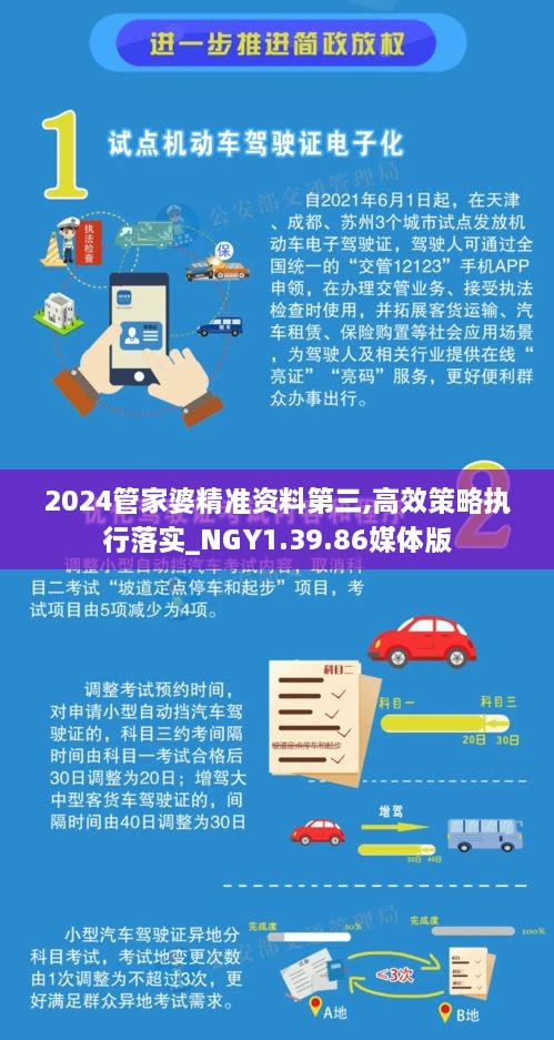 2024管家婆精准资料第三,高效策略执行落实_NGY1.39.86媒体版