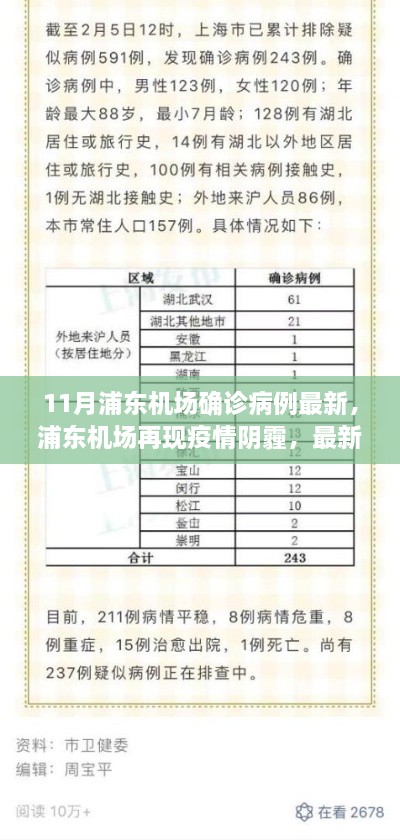 浦东机场再现疫情阴霾，最新确诊病例回顾与影响分析