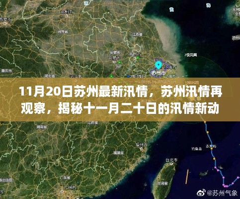 揭秘苏州汛情新动态，揭秘十一月二十日汛情最新观察报告