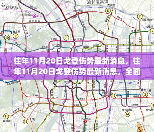 往年11月20日戈登伤势全面解析与最新消息探讨