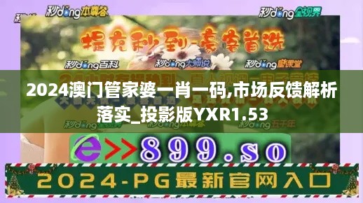 2024澳门管家婆一肖一码,市场反馈解析落实_投影版YXR1.53