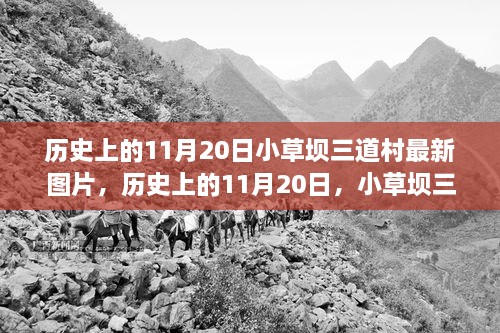 历史上的11月20日，小草坝三道村最新图片展示与深度解析揭秘
