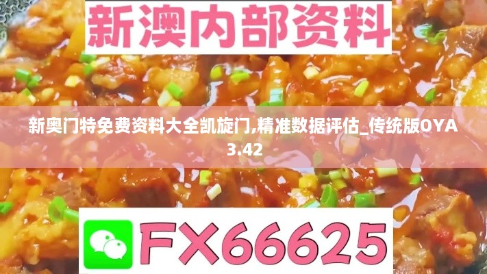 新奥门特免费资料大全凯旋门,精准数据评估_传统版OYA3.42