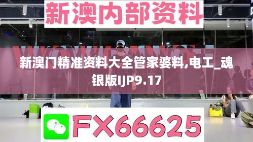 新澳门精准资料大全管家婆料,电工_魂银版IJP9.17