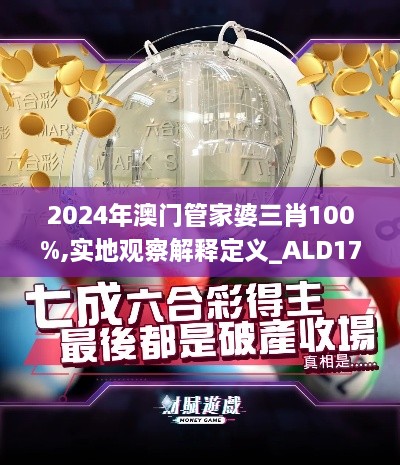 2024年澳门管家婆三肖100%,实地观察解释定义_ALD17.4