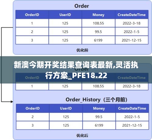 新澳今期开奖结果查询表最新,灵活执行方案_PFE18.22