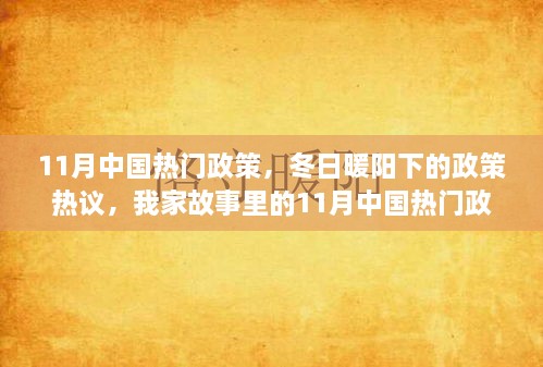 冬日暖阳下的热议，11月中国政策聚焦与家庭故事中的政策影响