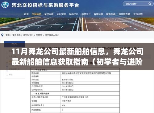 舜龙公司最新船舶信息全解析，获取指南与初学者进阶教程